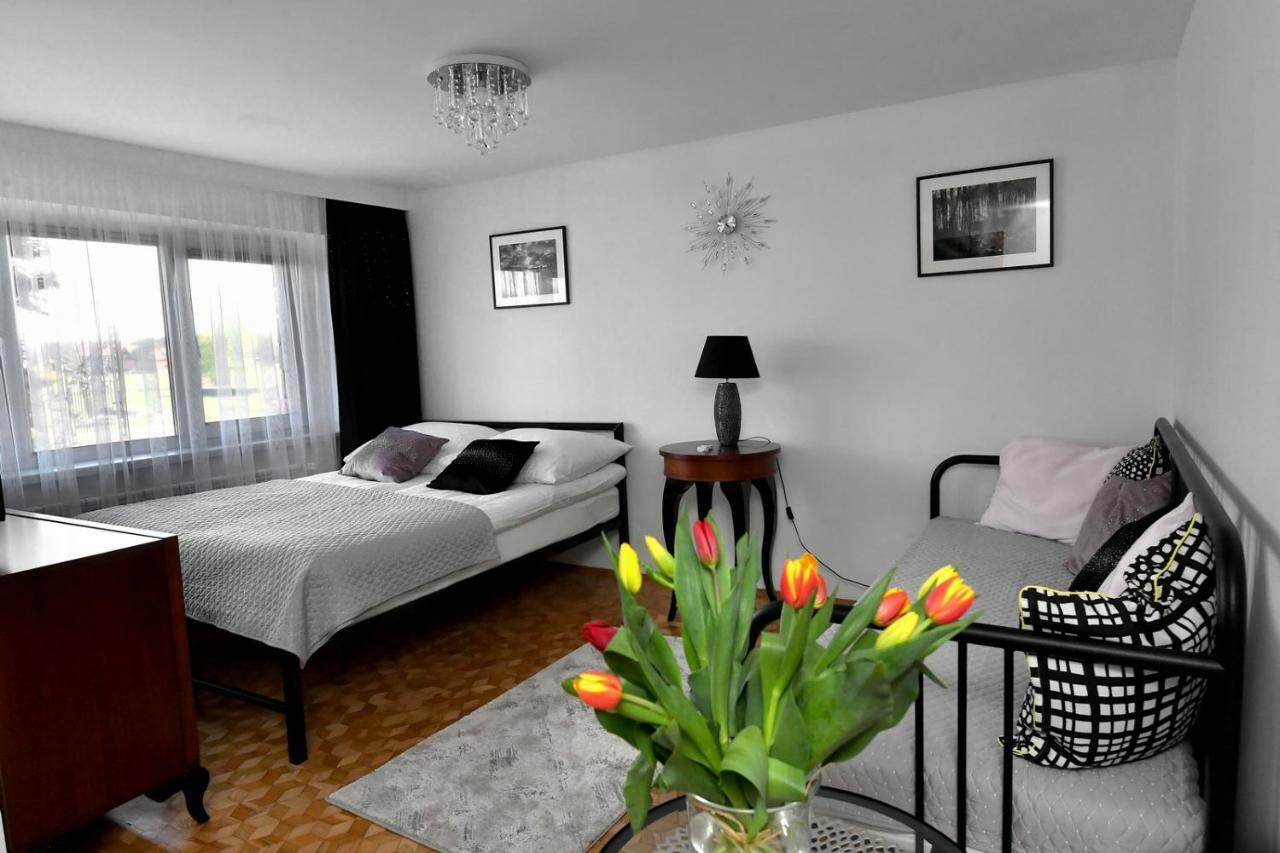 Apartament Spytkowice - Energylandia Krakow Oswiecim Wadowiceアパートメント エクステリア 写真